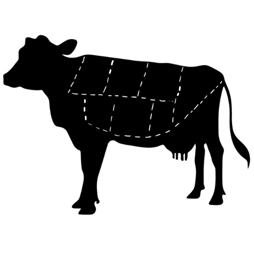 qurbani cow running 2022